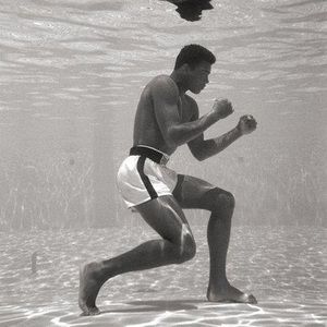 Meet your Posher, Ben